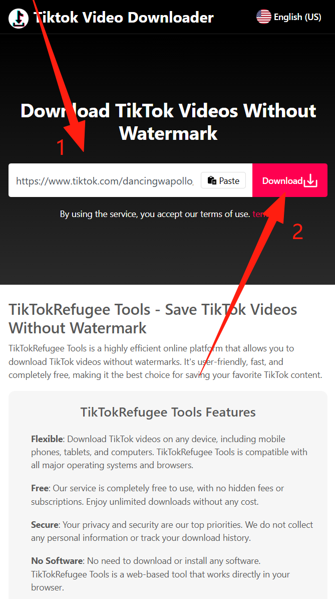 The Best TikTok No Watermark Video Downloader Tools-TikTokRefugee Help